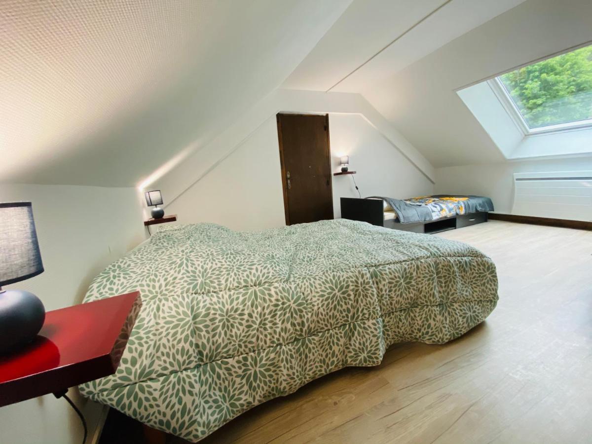 Les Paquerettes N 4 * Le Mont-Dore